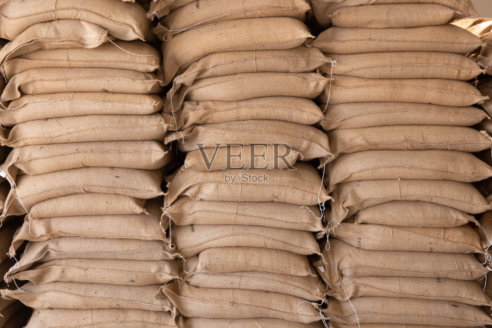 帝汶阅读照片摄影图片