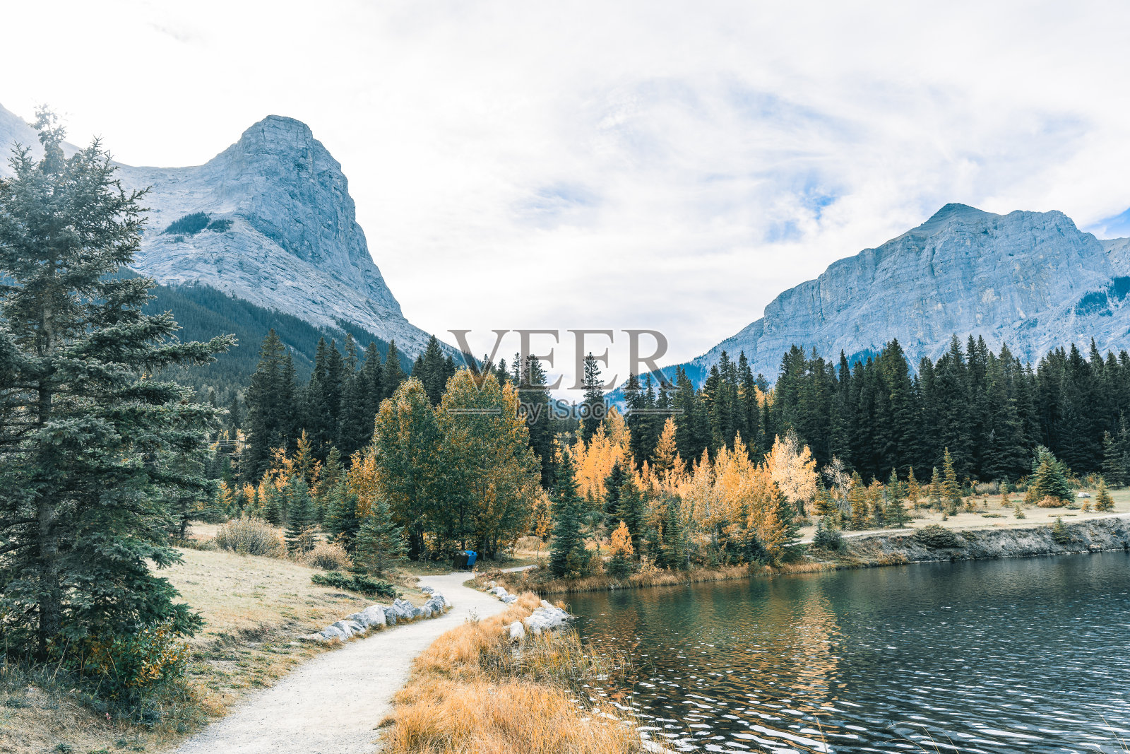 美丽的墙纸,一个湖被高大的树木和高大的雪山作为背景照片摄影图片