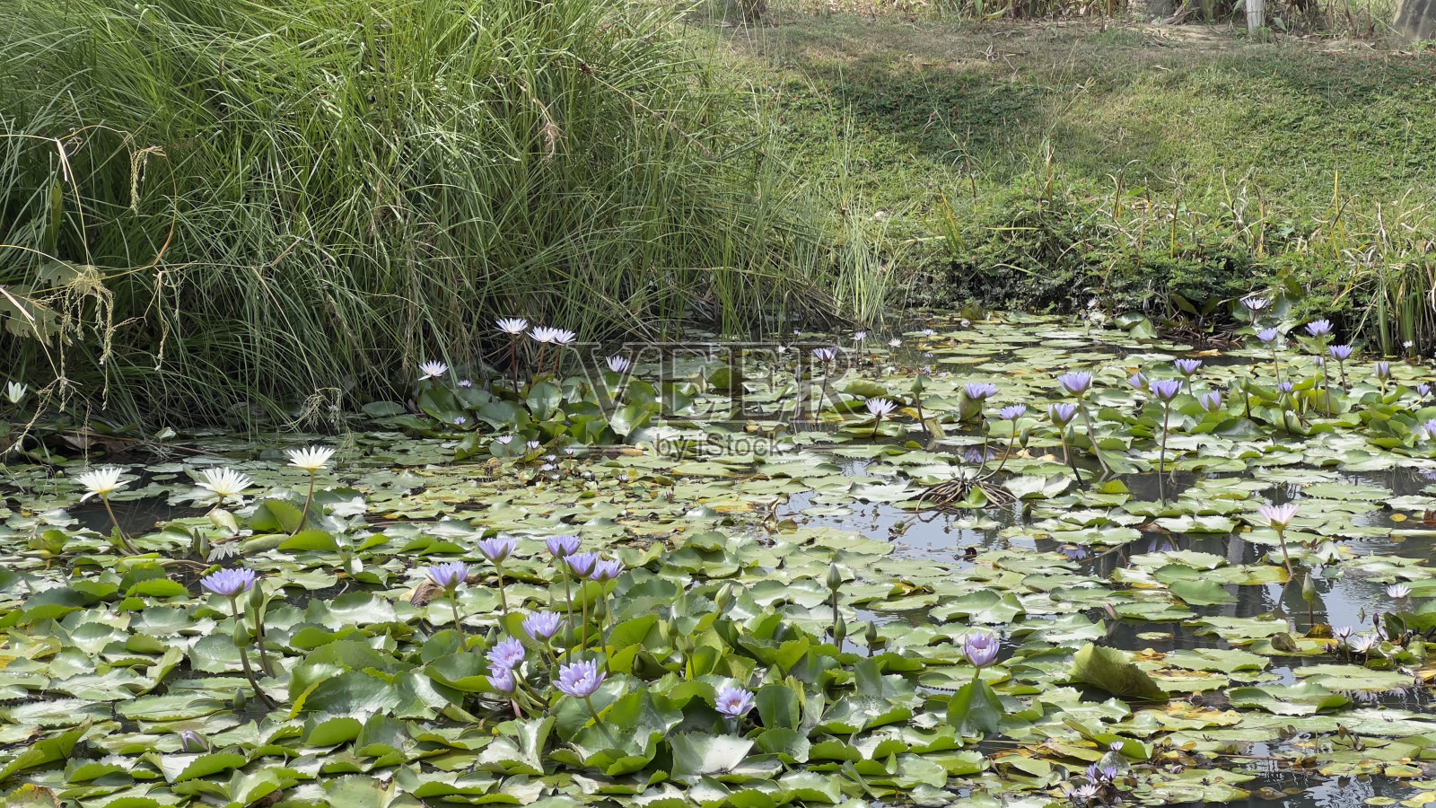 的风景照片摄影图片