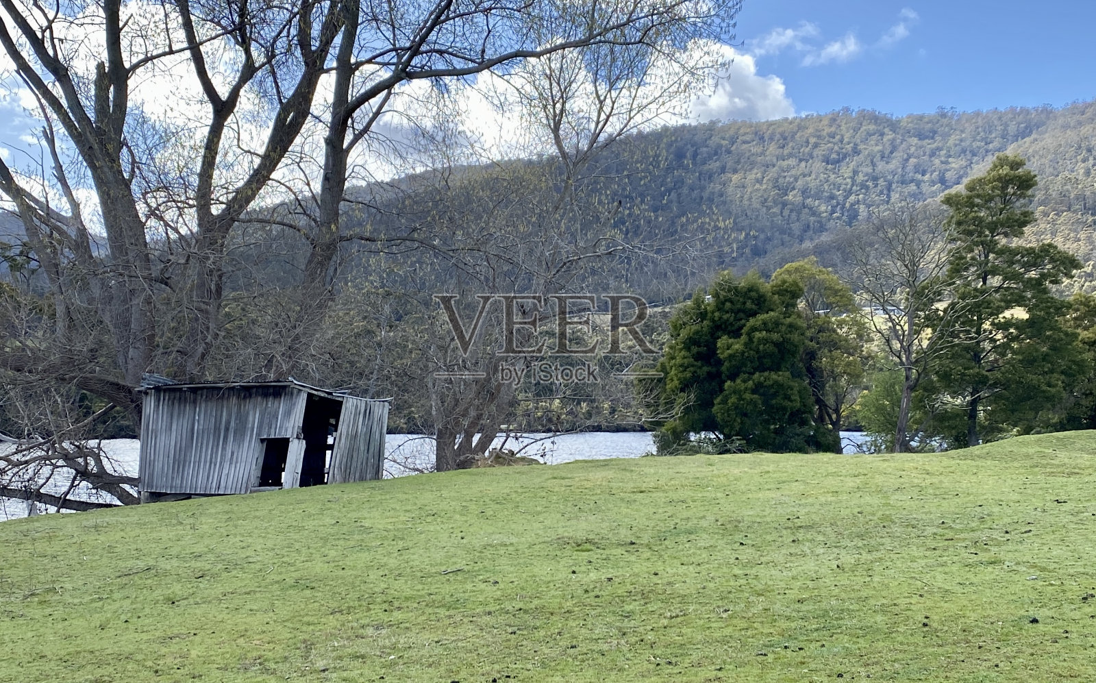 废弃的小屋在新鲜的绿色草地上照片摄影图片