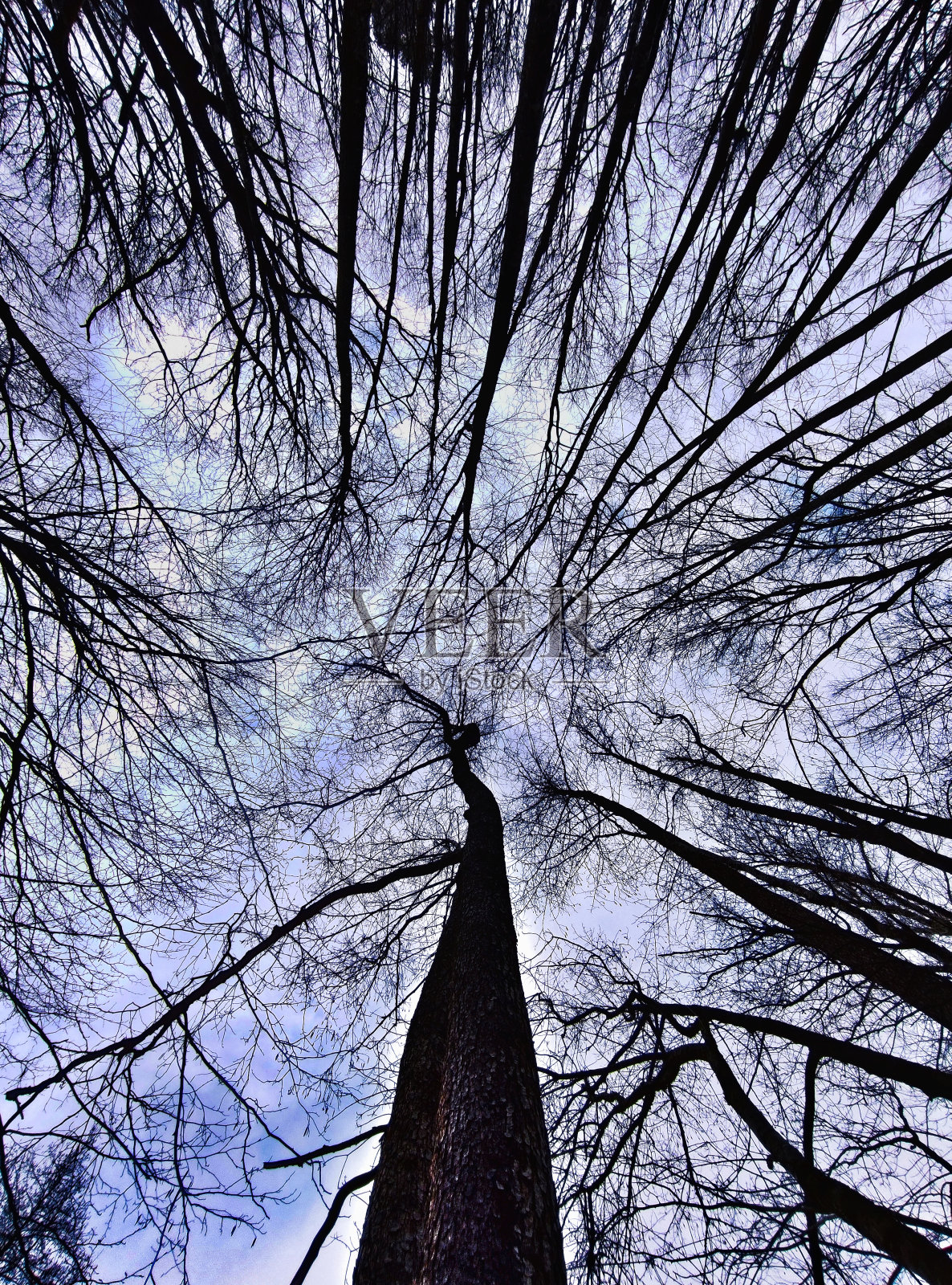 克拉斯诺达尔边疆区照片摄影图片