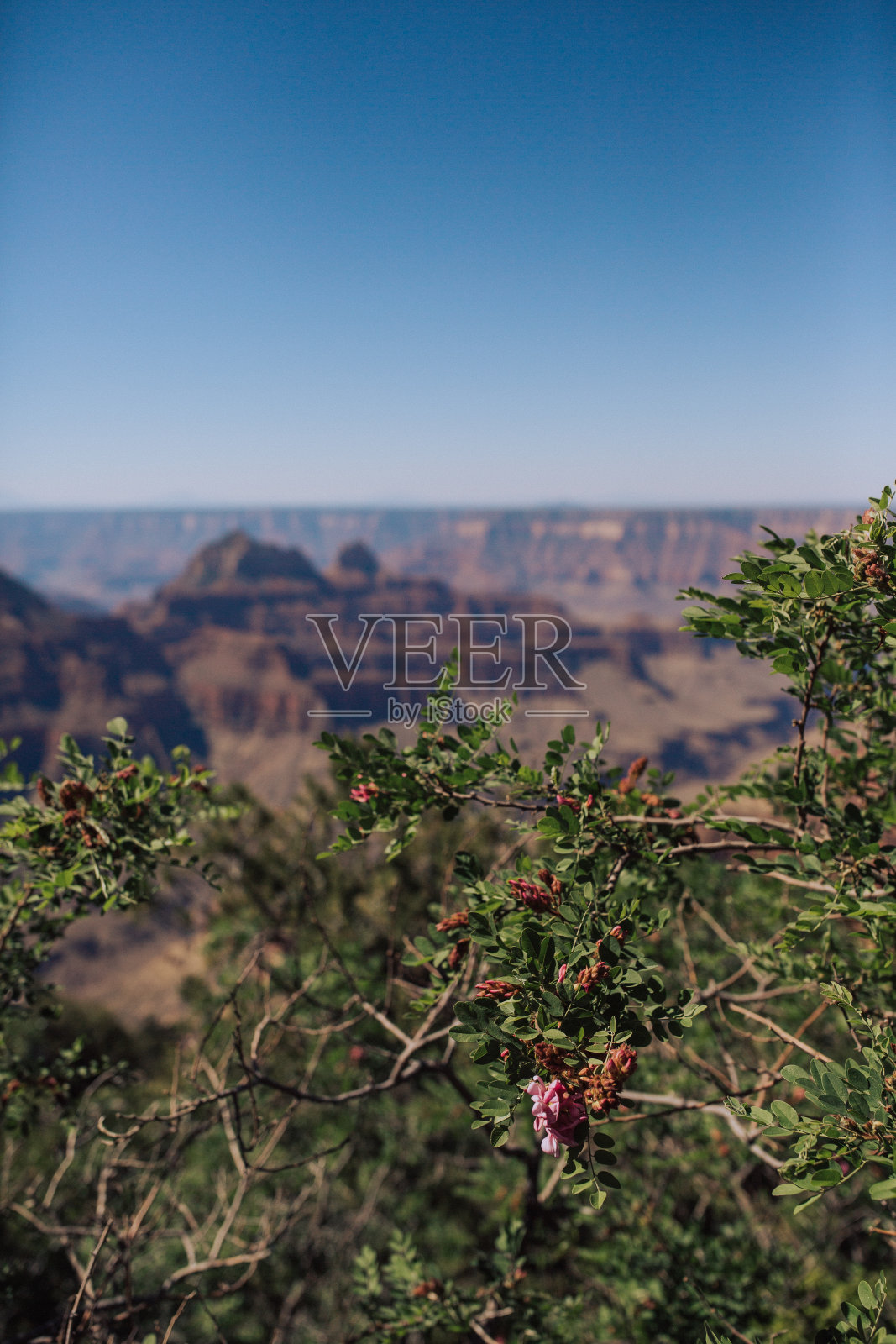大峡谷北缘的山景拍摄照片摄影图片