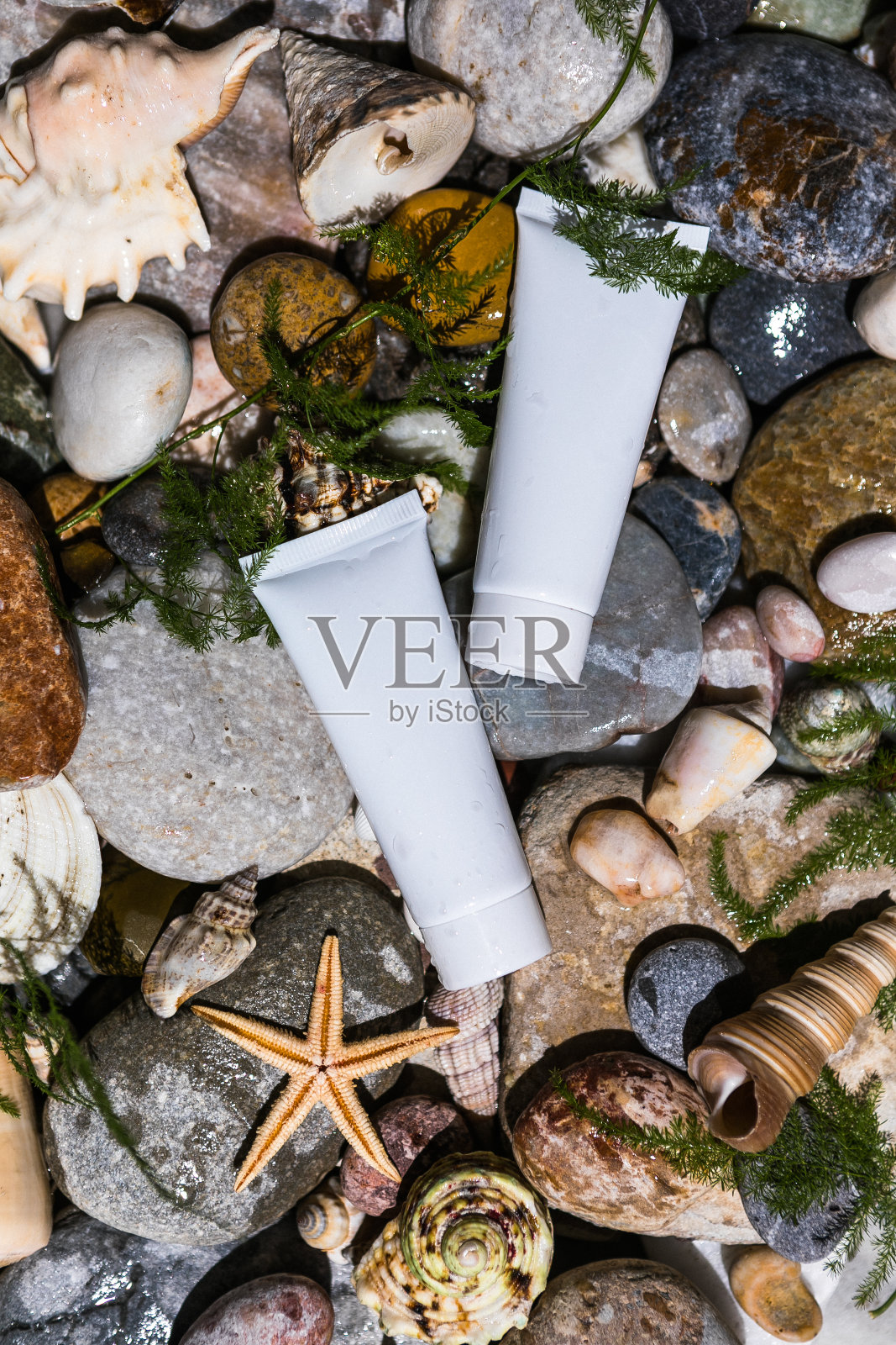 含有海洋矿物质的有机化妆品。石材水背景上的护肤化妆品和贝壳。海洋成分化妆品的时尚展示。照片摄影图片
