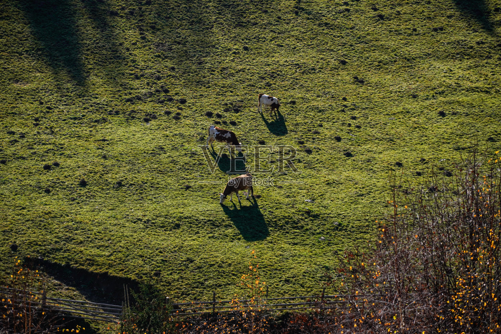 洞穴村,布拉索夫县,罗马尼亚照片摄影图片