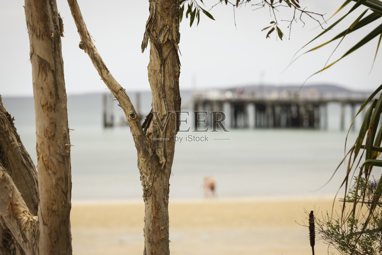 菲沙岛泳滩照片摄影图片