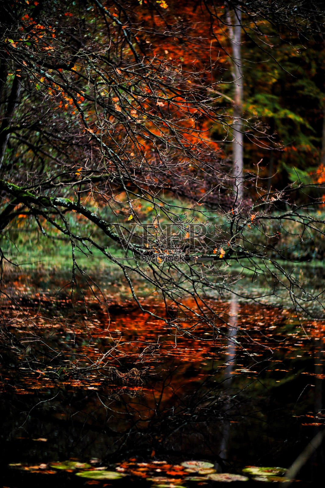 神秘暗湖照片摄影图片