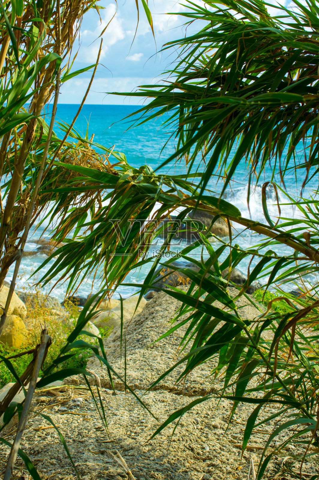 帕利努罗海边的夏天照片摄影图片