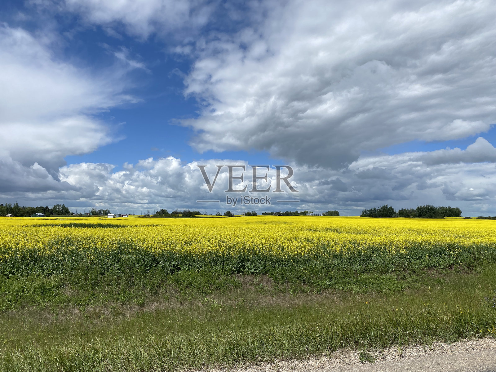 农场照片摄影图片