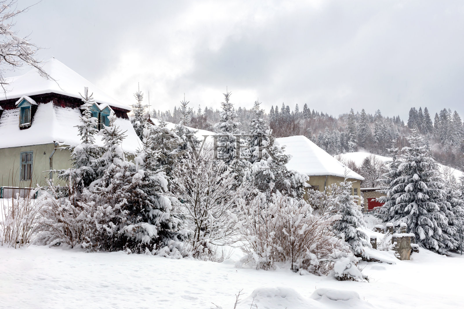 积雪覆盖的房屋在山上的森林中照片摄影图片