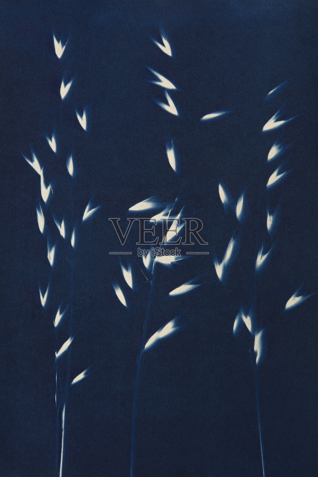 氰化版蓝图照片摄影图片