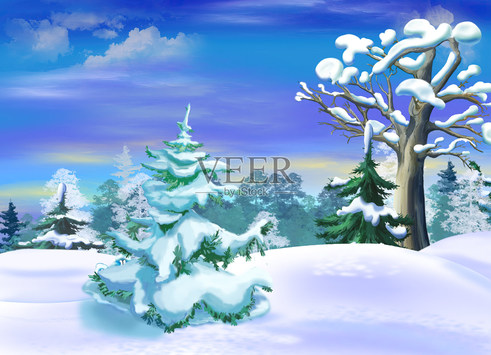 冬季森林空地上被雪覆盖的云杉插画图片素材
