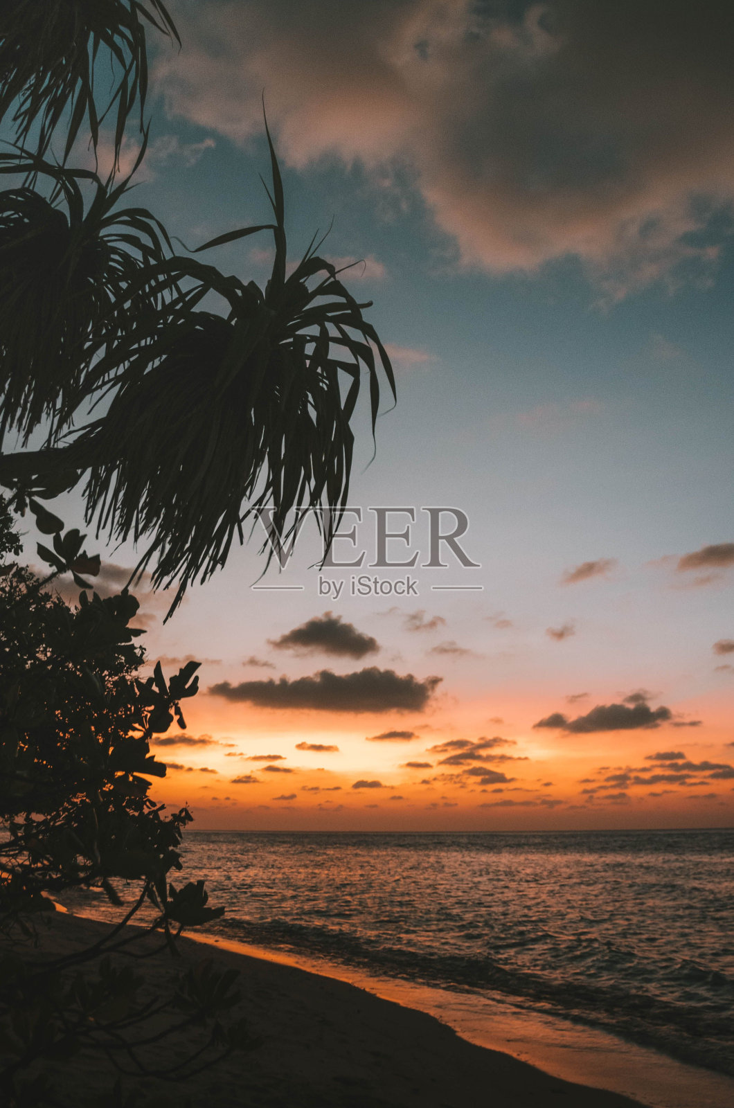 垂直拍摄的沙滩在马尔代夫在susnet照片摄影图片