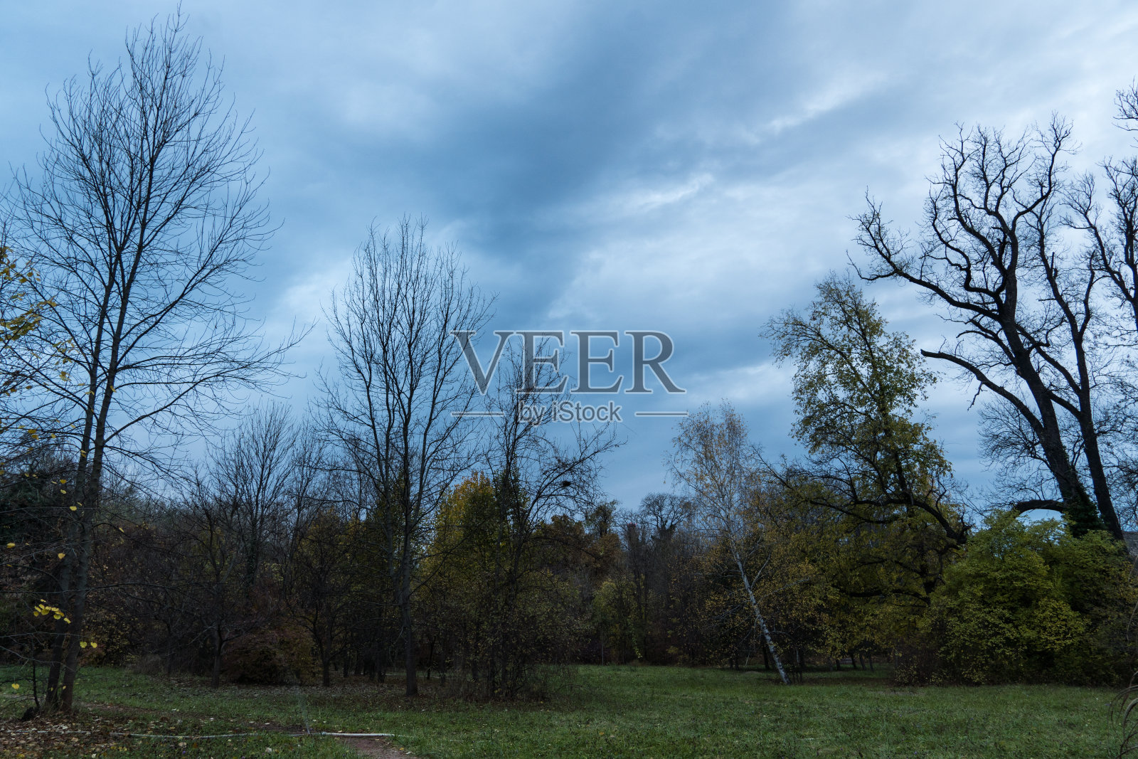 植物园,布加勒斯特市,罗马尼亚照片摄影图片