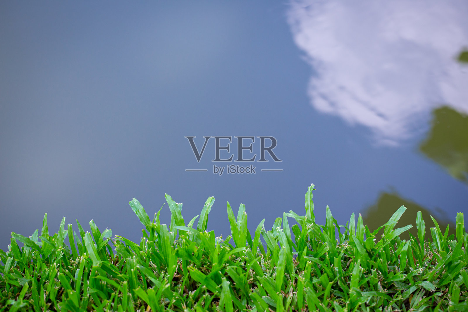 墙纸上的天空倒影在池塘上。前景是绿色的草地照片摄影图片