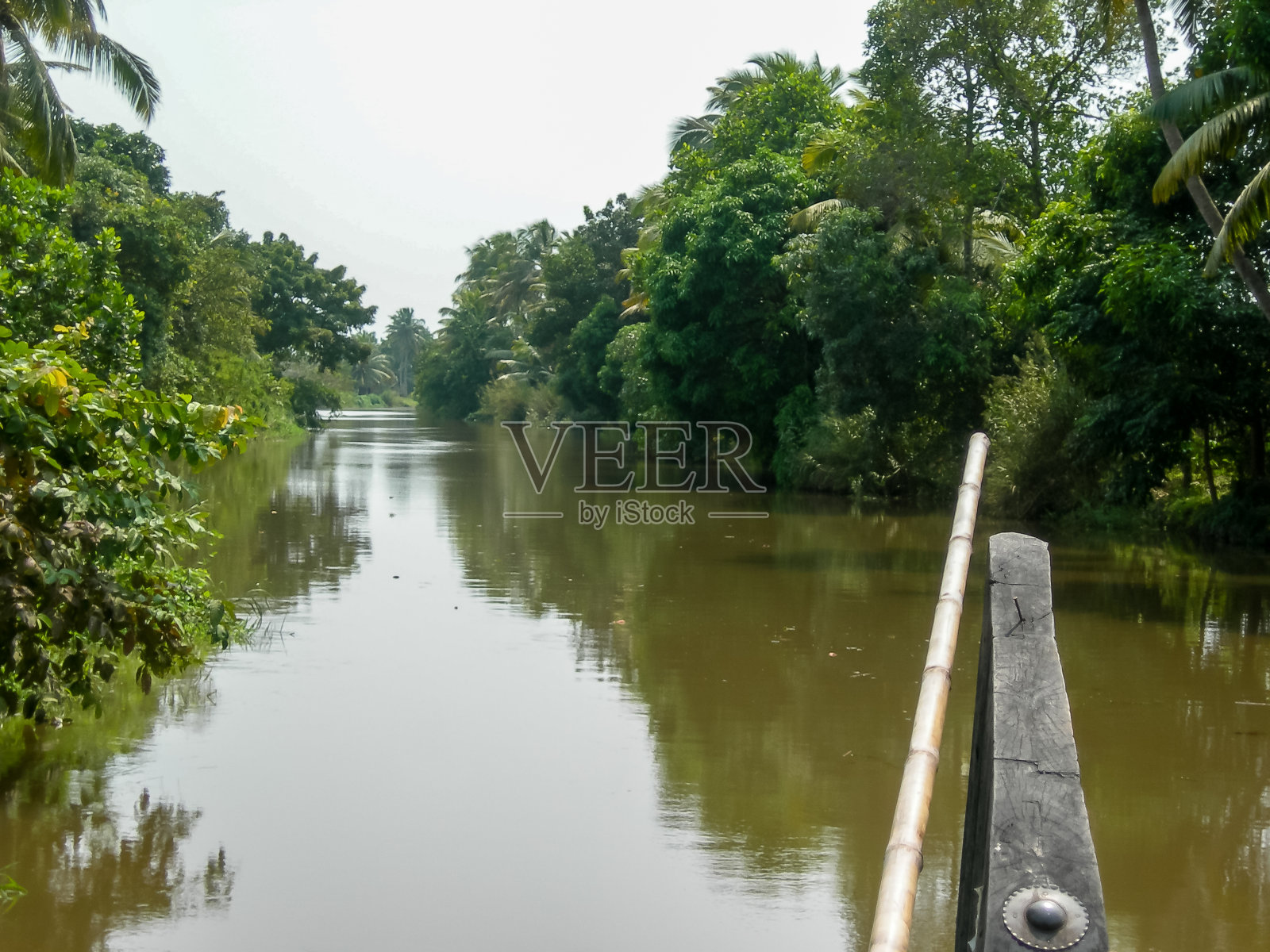 在喀拉拉邦的回水水域航行照片摄影图片
