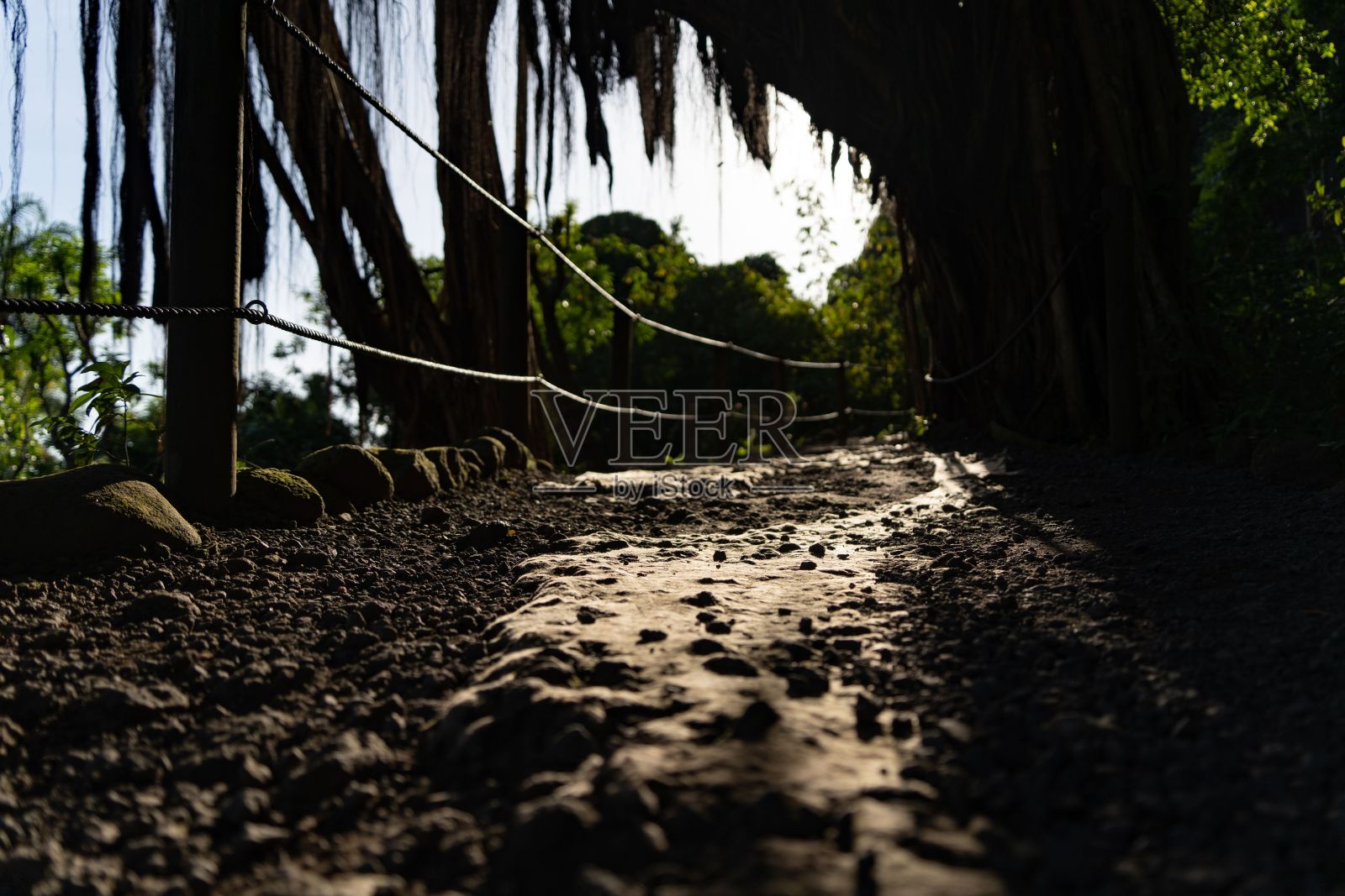 玛拉洞穴的步道,地上有石头,背景是树照片摄影图片