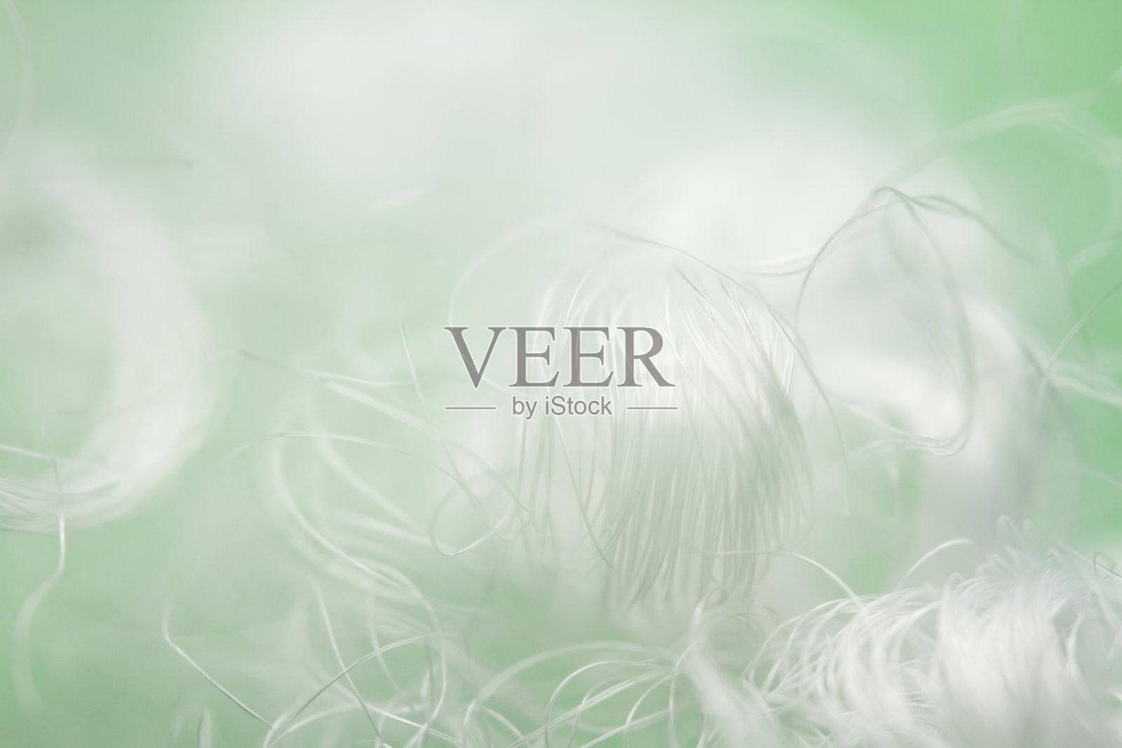 极宏观聚酯稳定纤维在绿色背景照片摄影图片