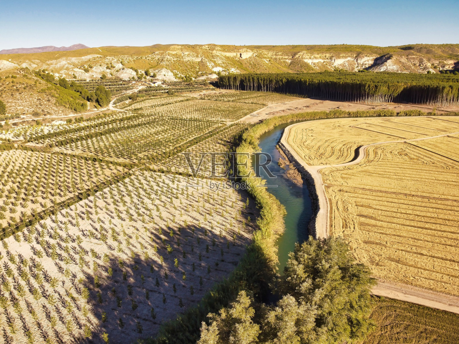 阳光明媚的卡拉斯帕拉稻田鸟瞰图照片摄影图片
