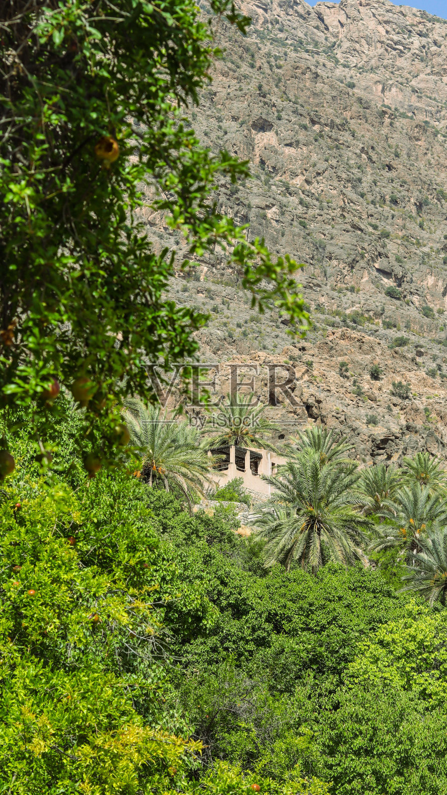 一个被树木覆盖的山村的垂直镜头照片摄影图片