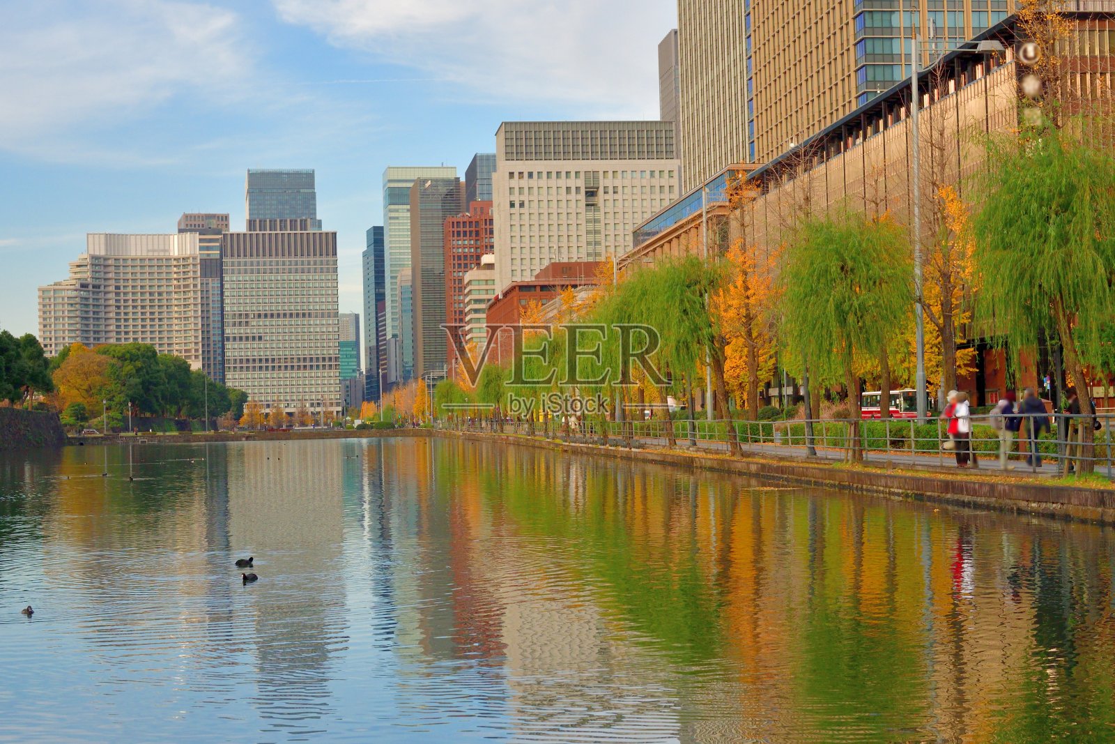 东京丸之内商业区秋叶的颜色照片摄影图片