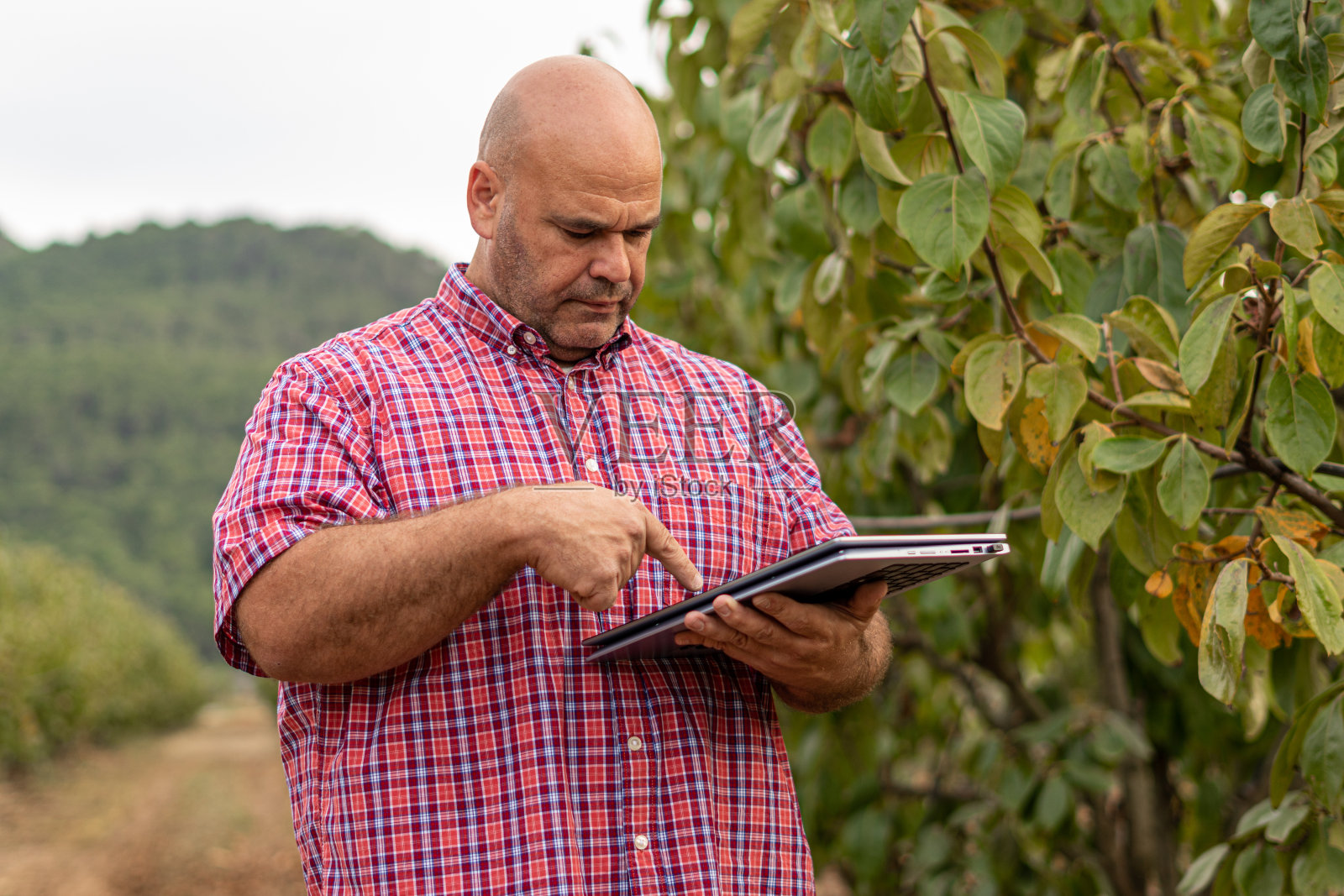 男农民农艺师在收割笔记本电脑照片摄影图片