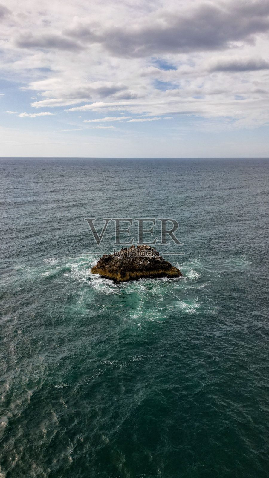 澳大利亚新南威尔士州麦夸里港海中心的鸟岩垂直图照片摄影图片