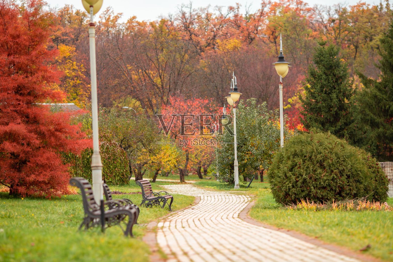 美丽的景观公园,秋天五颜六色的树木照片摄影图片