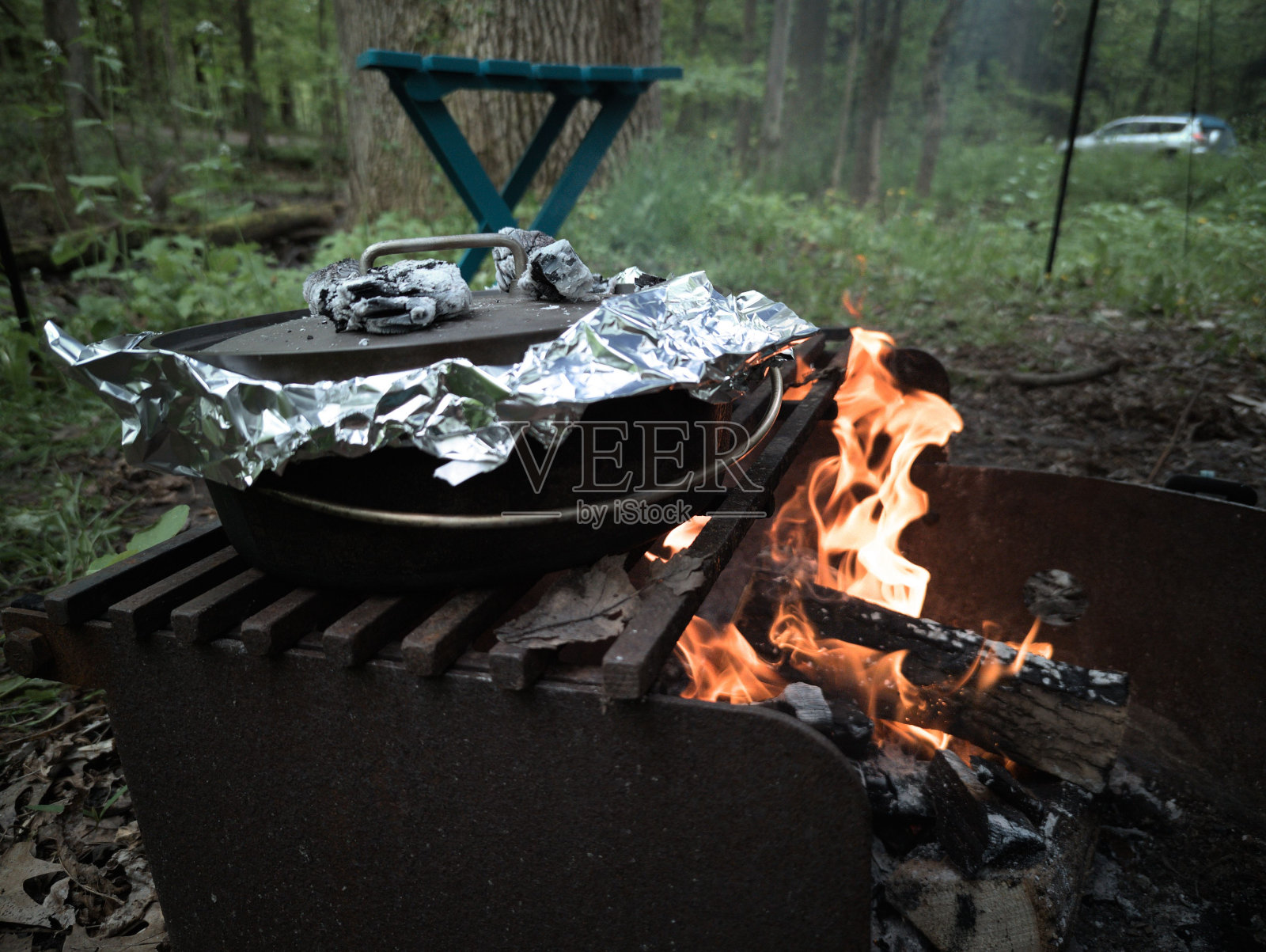 近距离的荷兰烤箱在营火在森林照片摄影图片