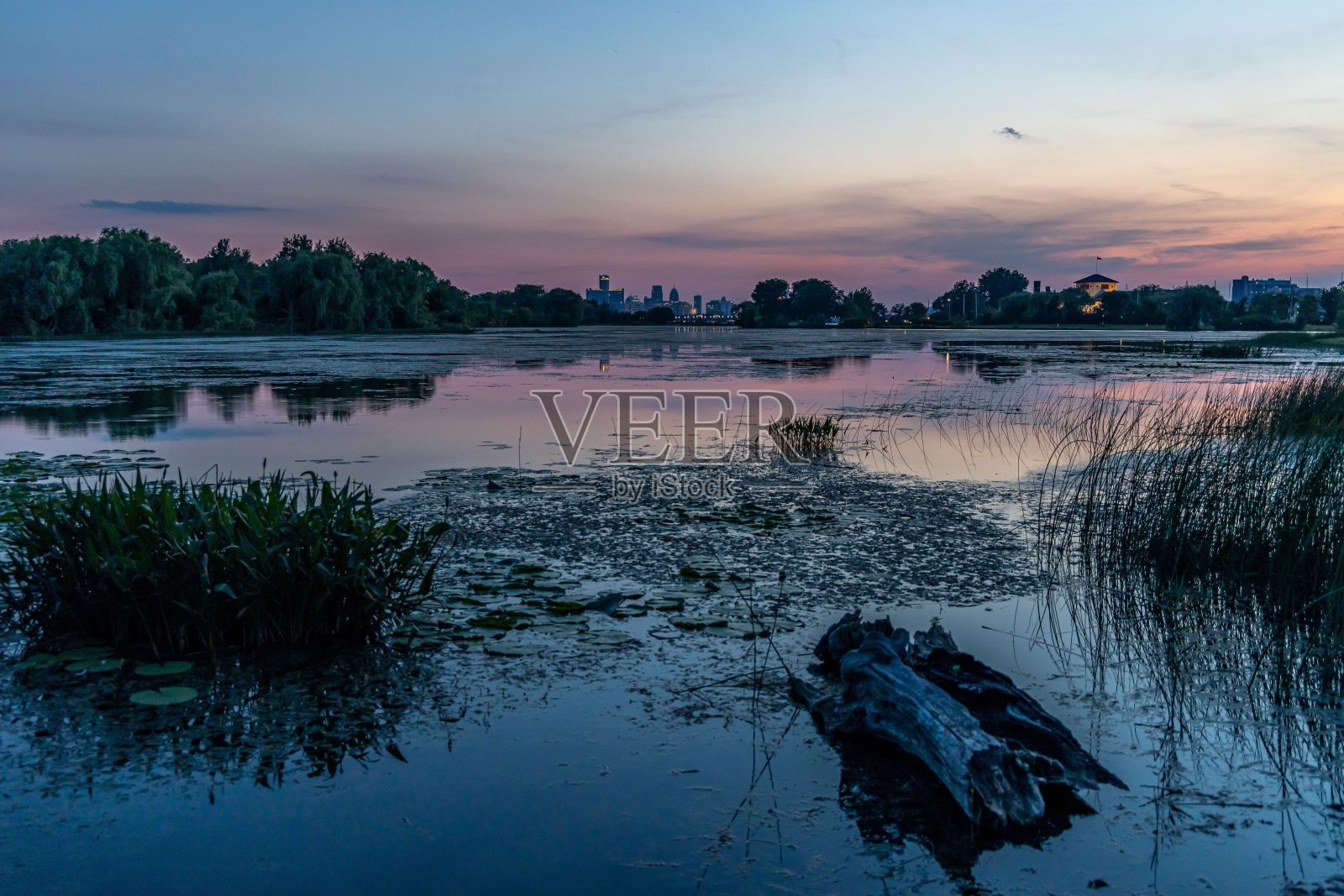 在夜晚,可以看到一个现代城市的水景照片摄影图片