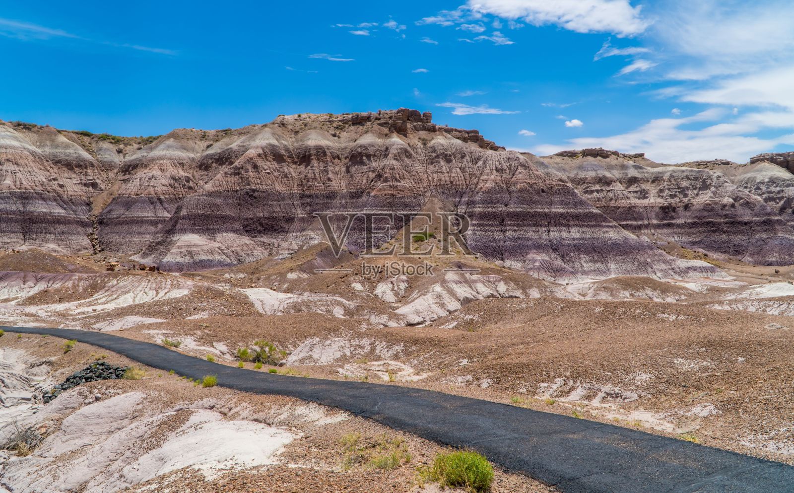 亚利桑那州石化森林国家公园内的蓝色梅萨小径的风景照片摄影图片