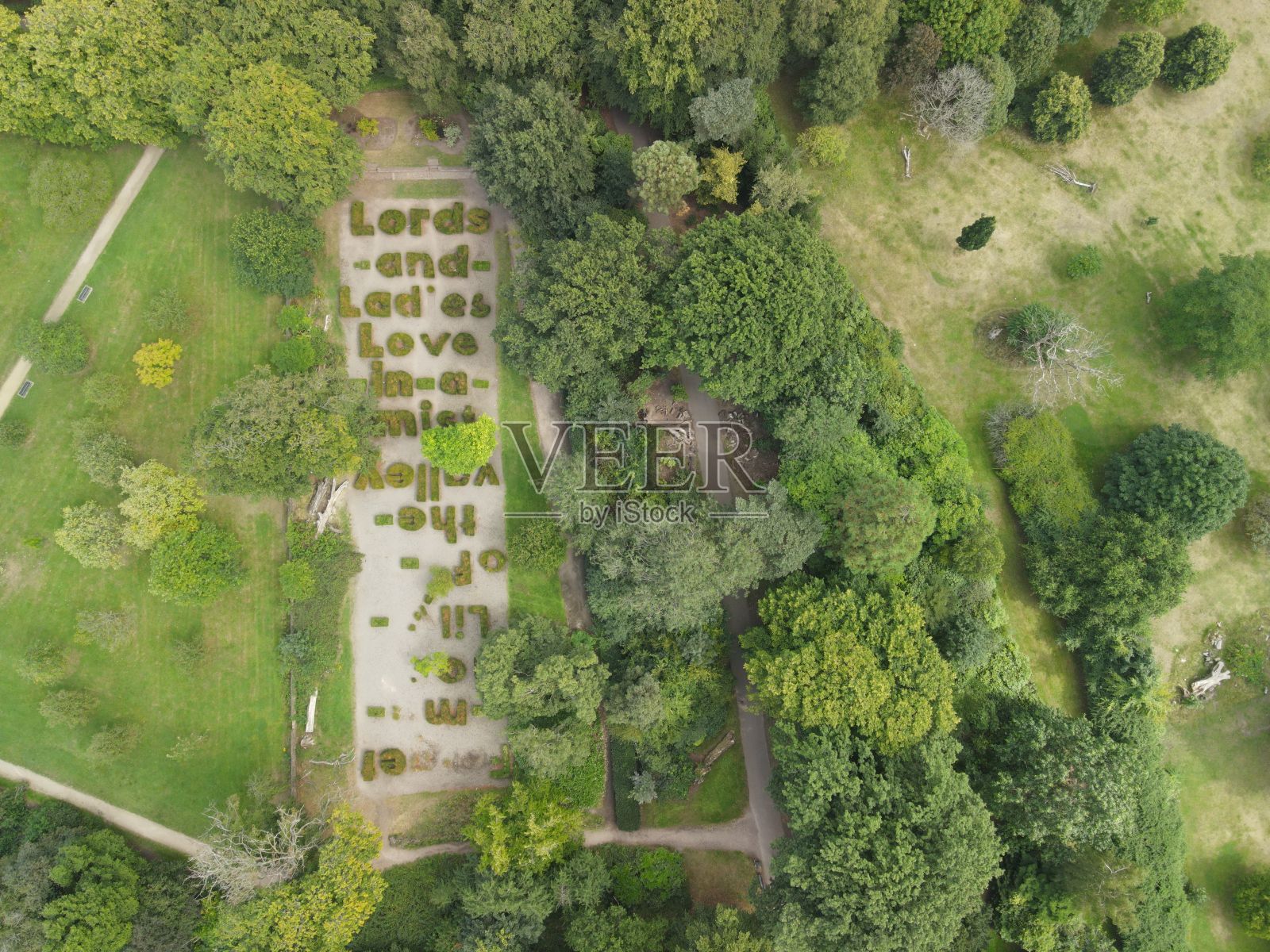 英国利物浦卡尔德斯通公园美丽森林的俯视图照片摄影图片