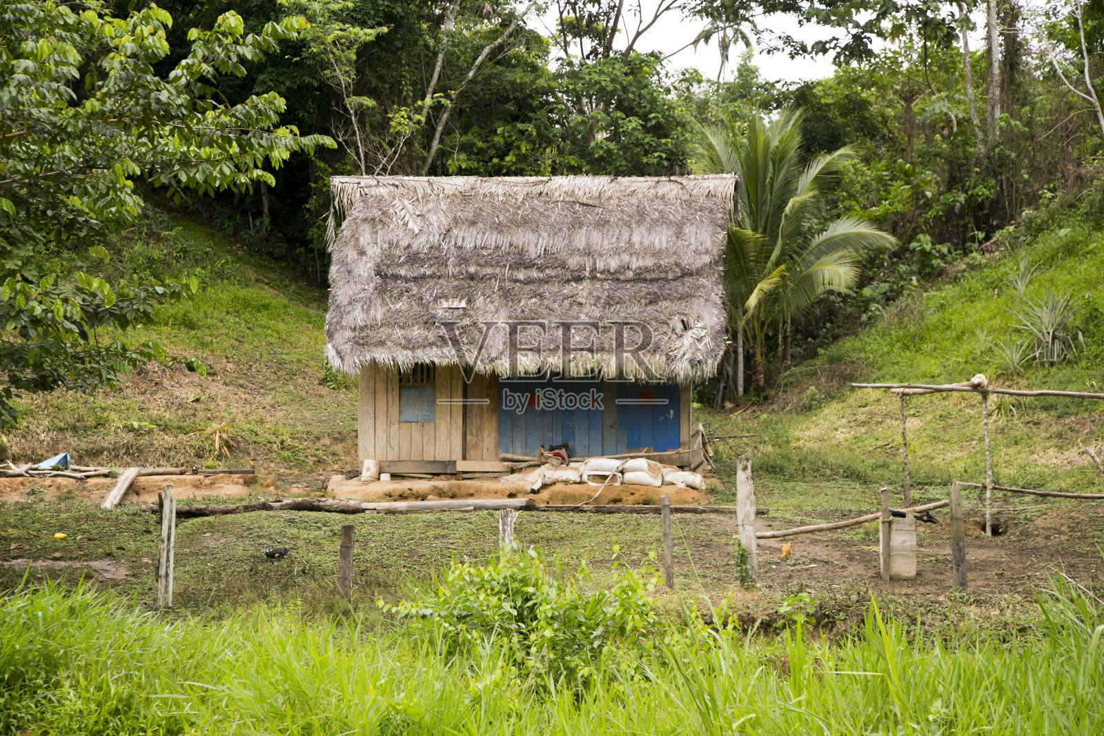 秘鲁亚马逊地区一个小镇的街道和房屋,靠近尤里马瓜斯市。照片摄影图片
