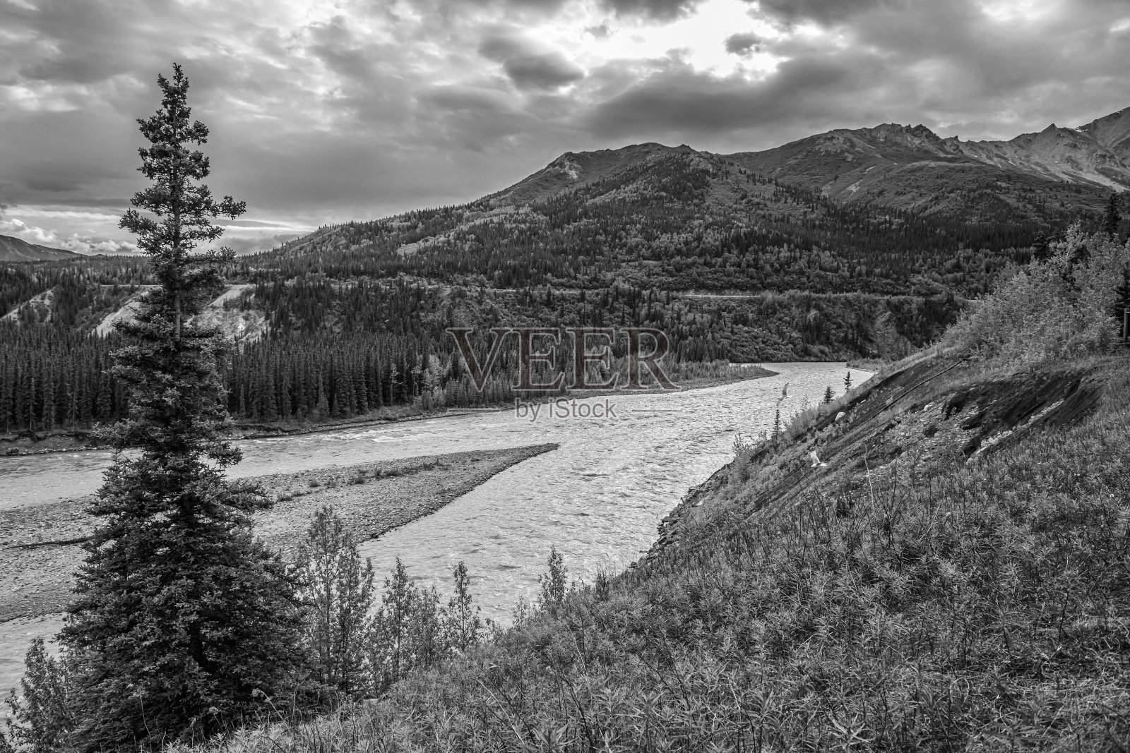 Nenana河黑白相间照片摄影图片