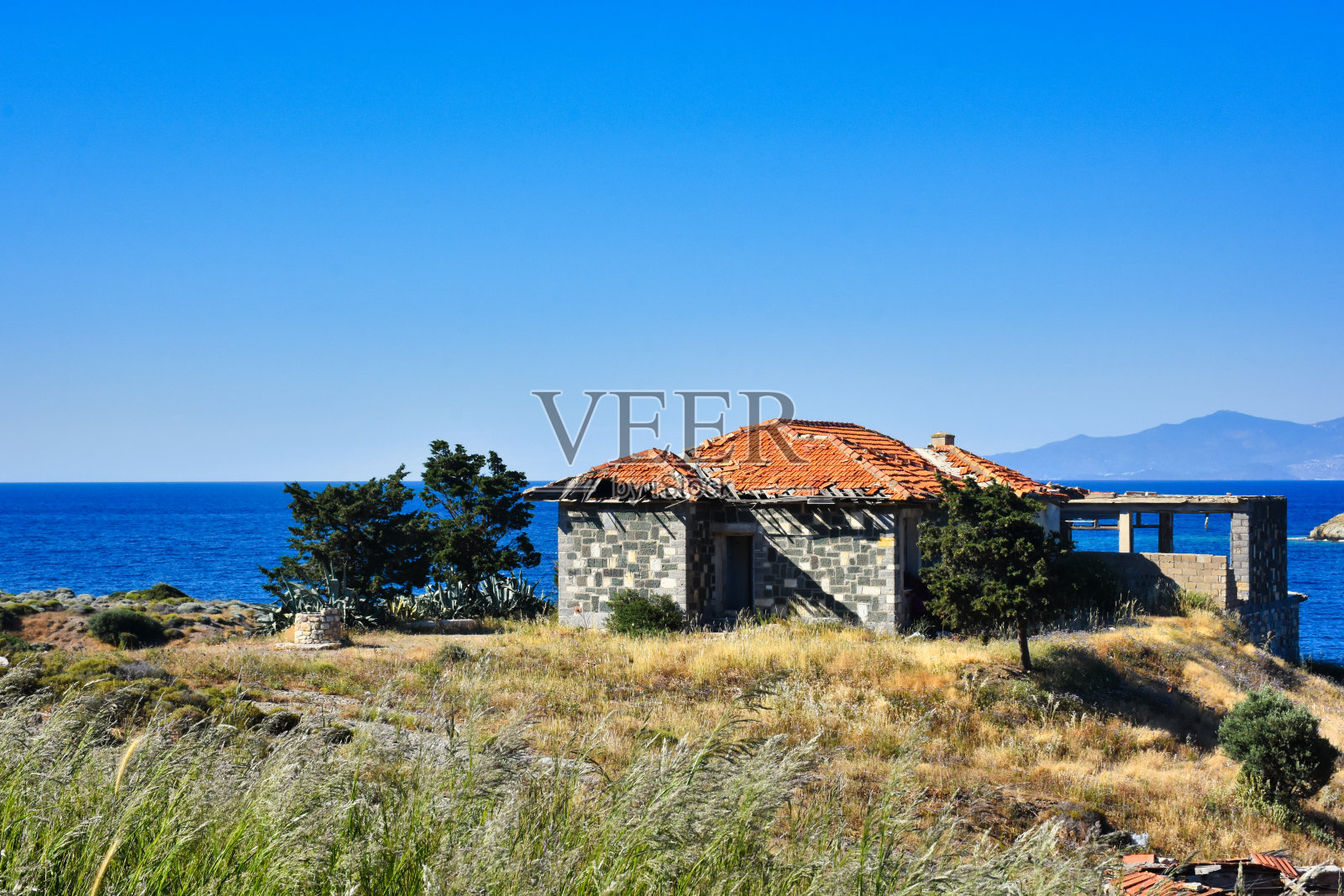 An abandoned house by the sea in Foça, İzmir, next to a fig tree and an old water well next to it. an Aegean town照片摄影图片