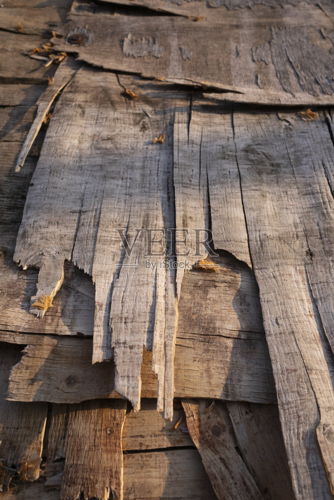 老化的胶合板照片摄影图片