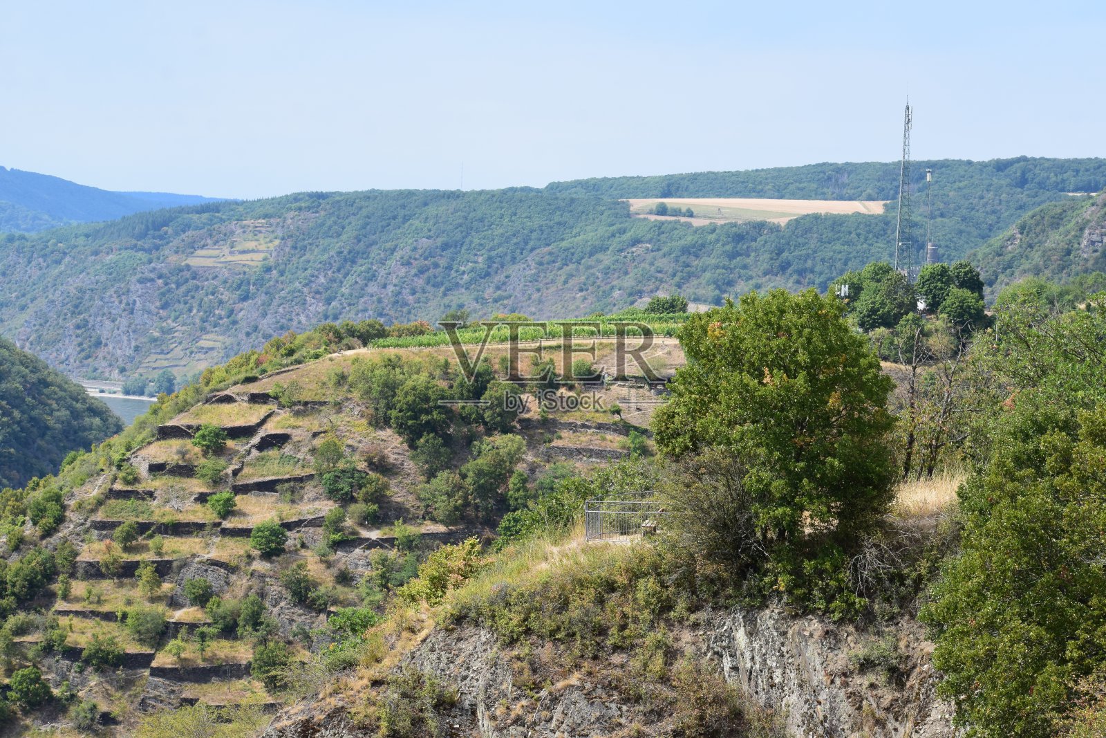 废弃的葡萄园梯田照片摄影图片