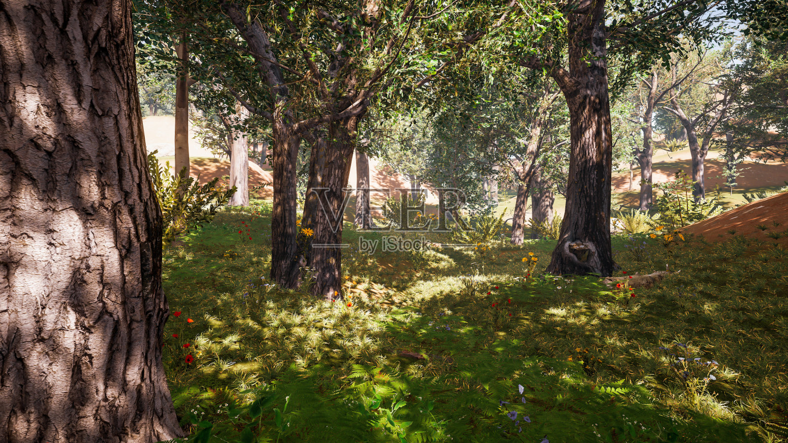 可持续的环境和生态系统保护。景观三维绘制照片摄影图片