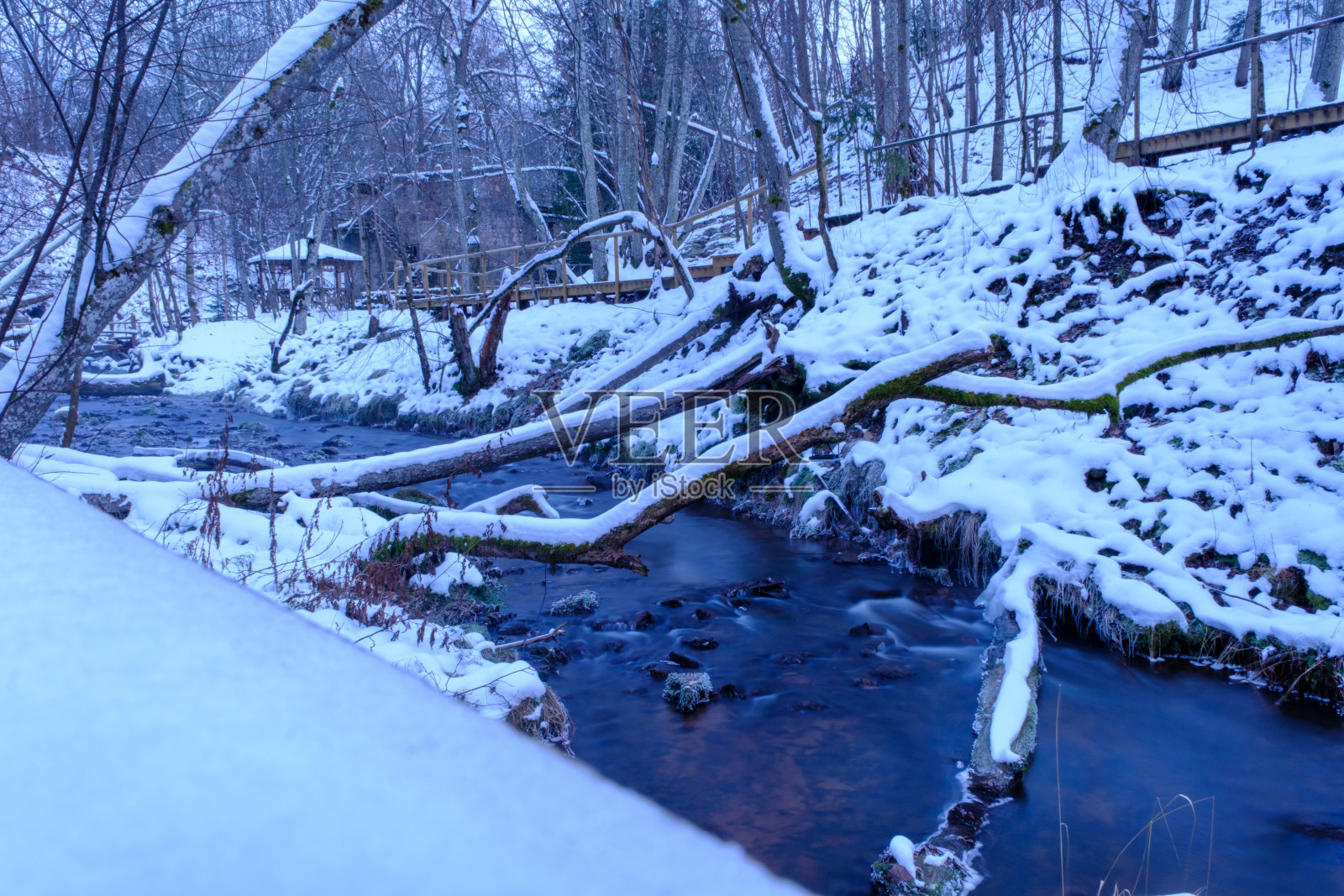 12月的第一周,一条小河穿过拉脱维亚的森林,雪地。黑暗的冬夜。照片摄影图片