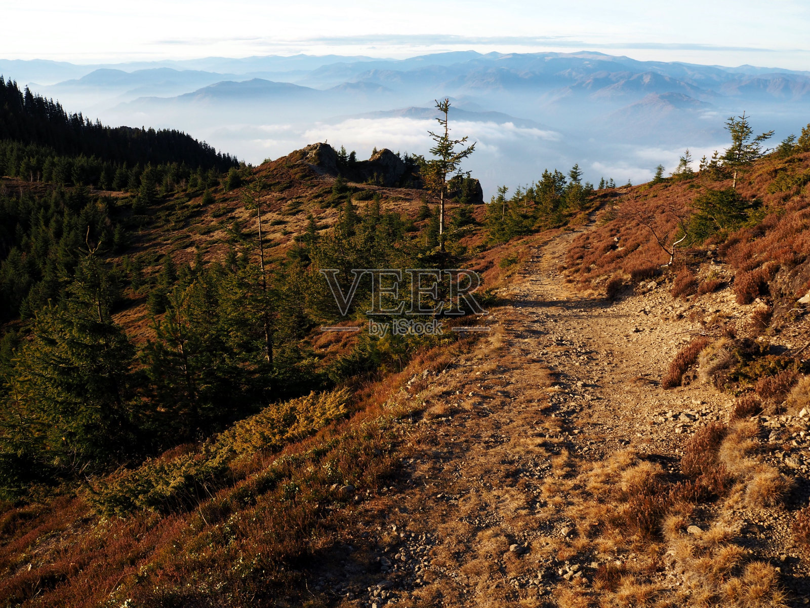 一个荒芜的地区的风景,在山脉的背景下有植物和树木照片摄影图片