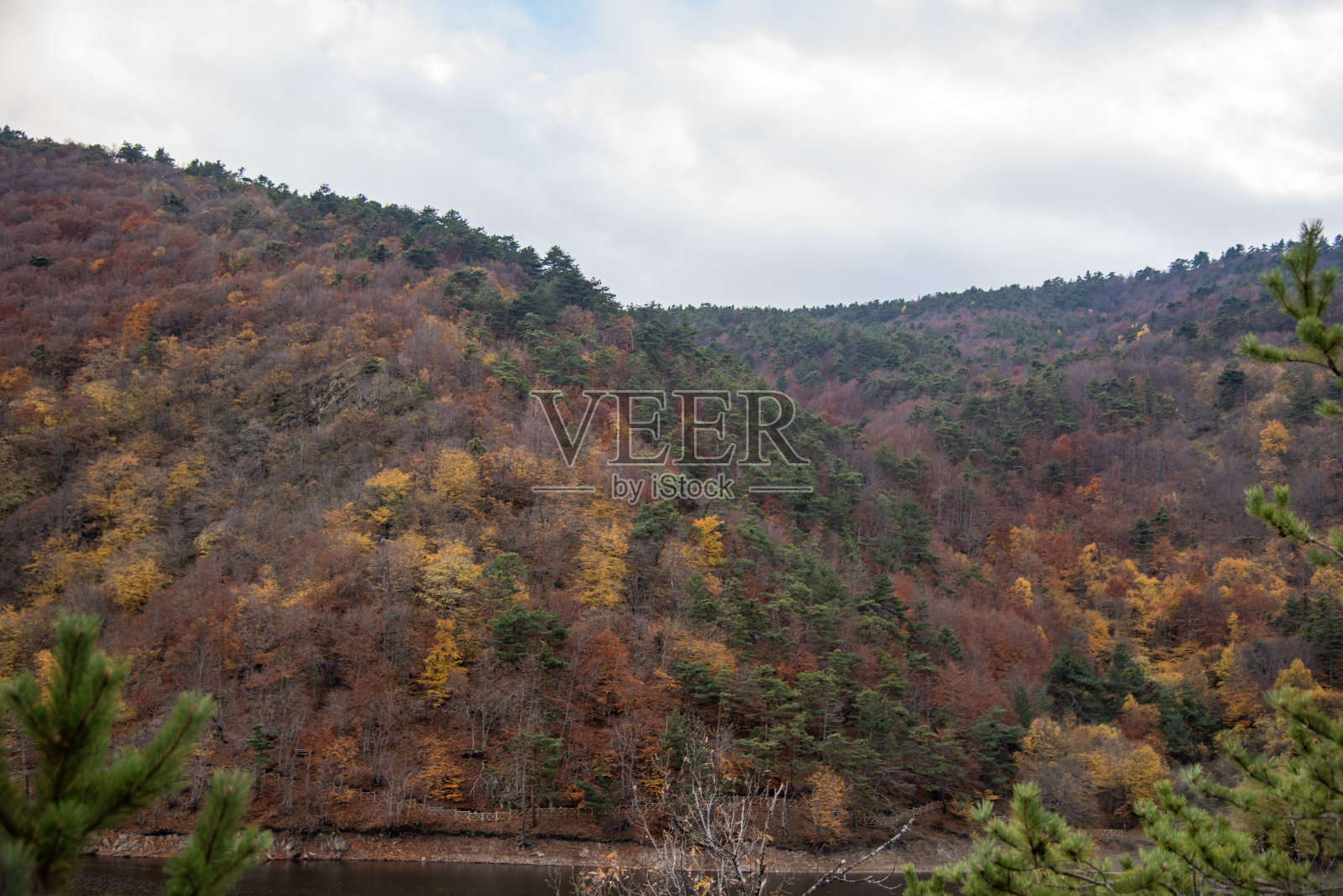 森林之家的美丽秋色和Boraboy湖的倒影照片摄影图片
