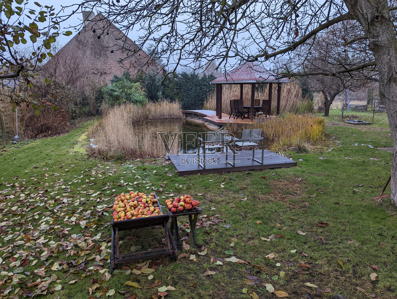 深秋的家中花园照片摄影图片