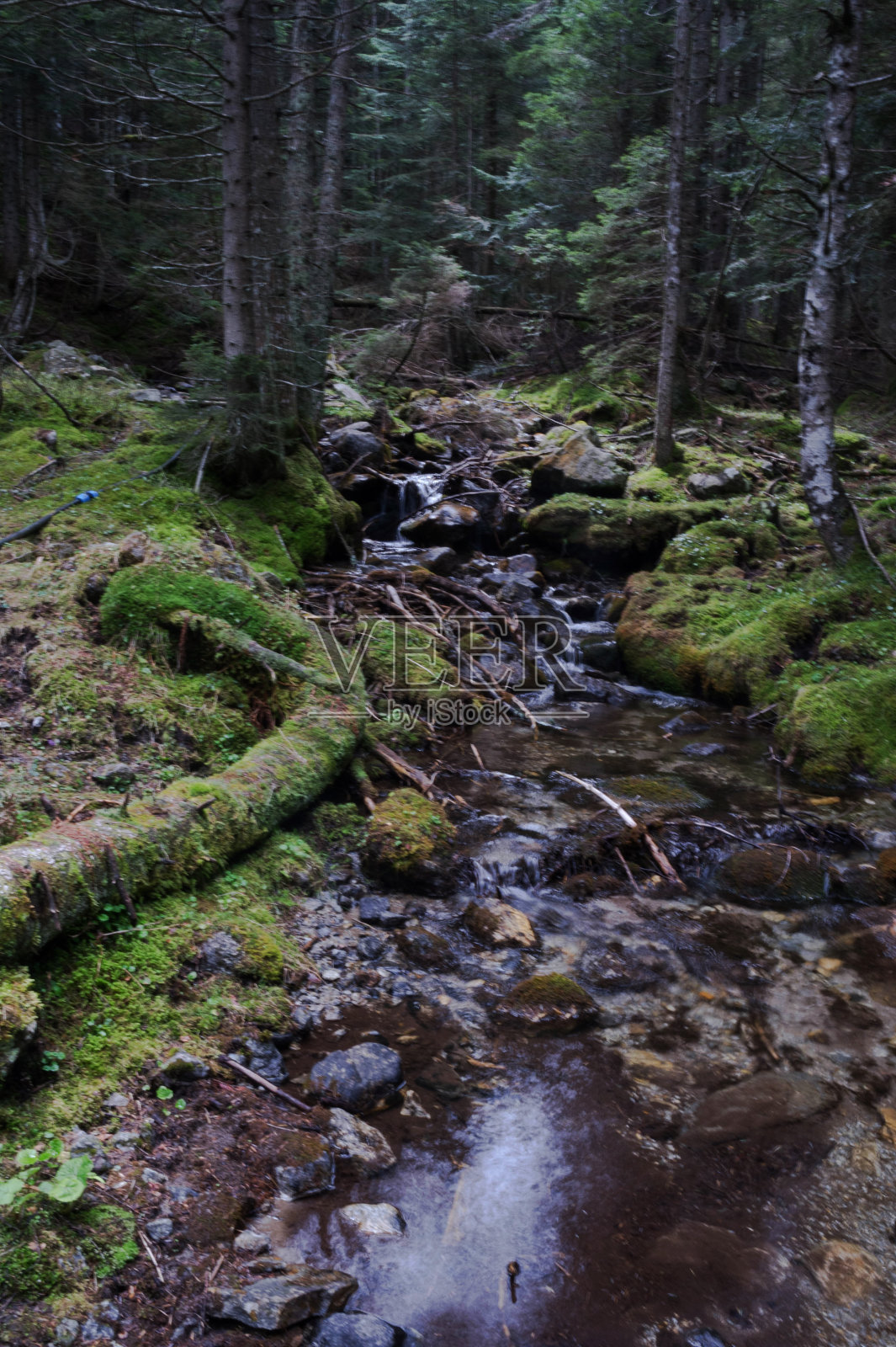 小溪流照片摄影图片