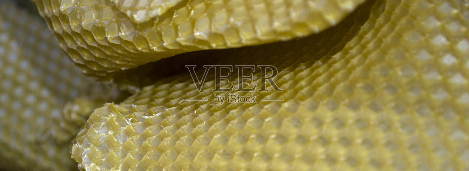 空蜂巢,不填蜜。照片摄影图片