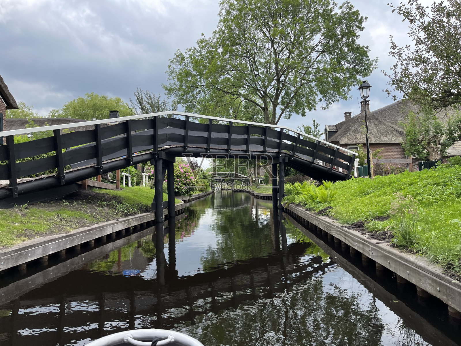 生命与自然照片摄影图片