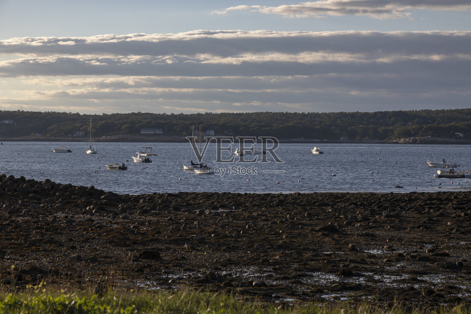 在退潮港口的船只照片摄影图片