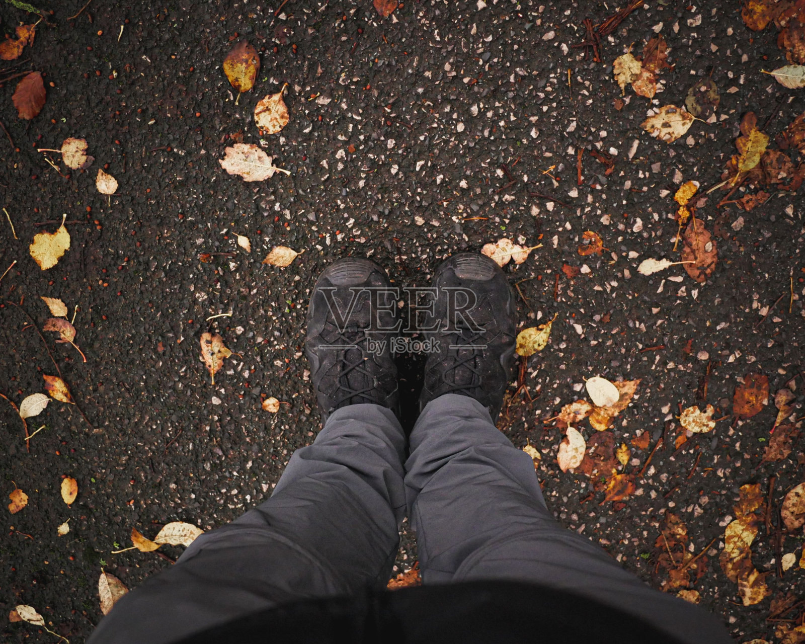 俯视图的摄影师的腿在地面上被岩石和落叶覆盖照片摄影图片