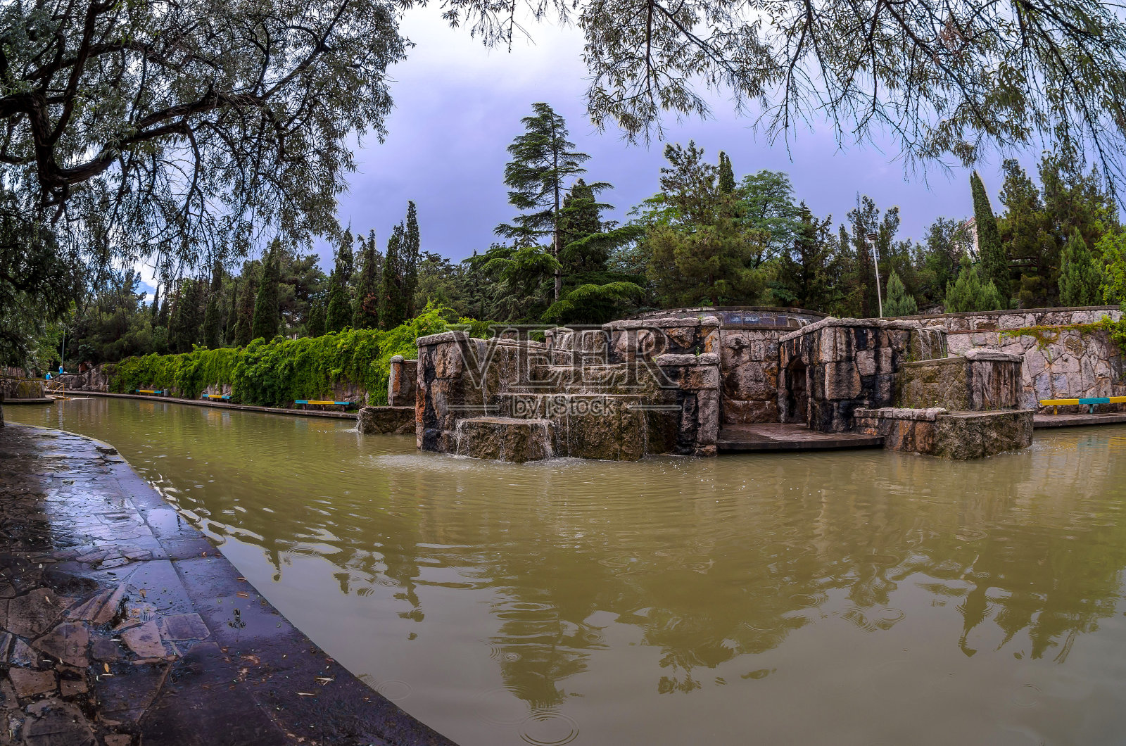 一个美丽如画的公园。有很多植被,还有一个有鸭子的湖。喷泉,冷杉,乔木,野葡萄。照片摄影图片