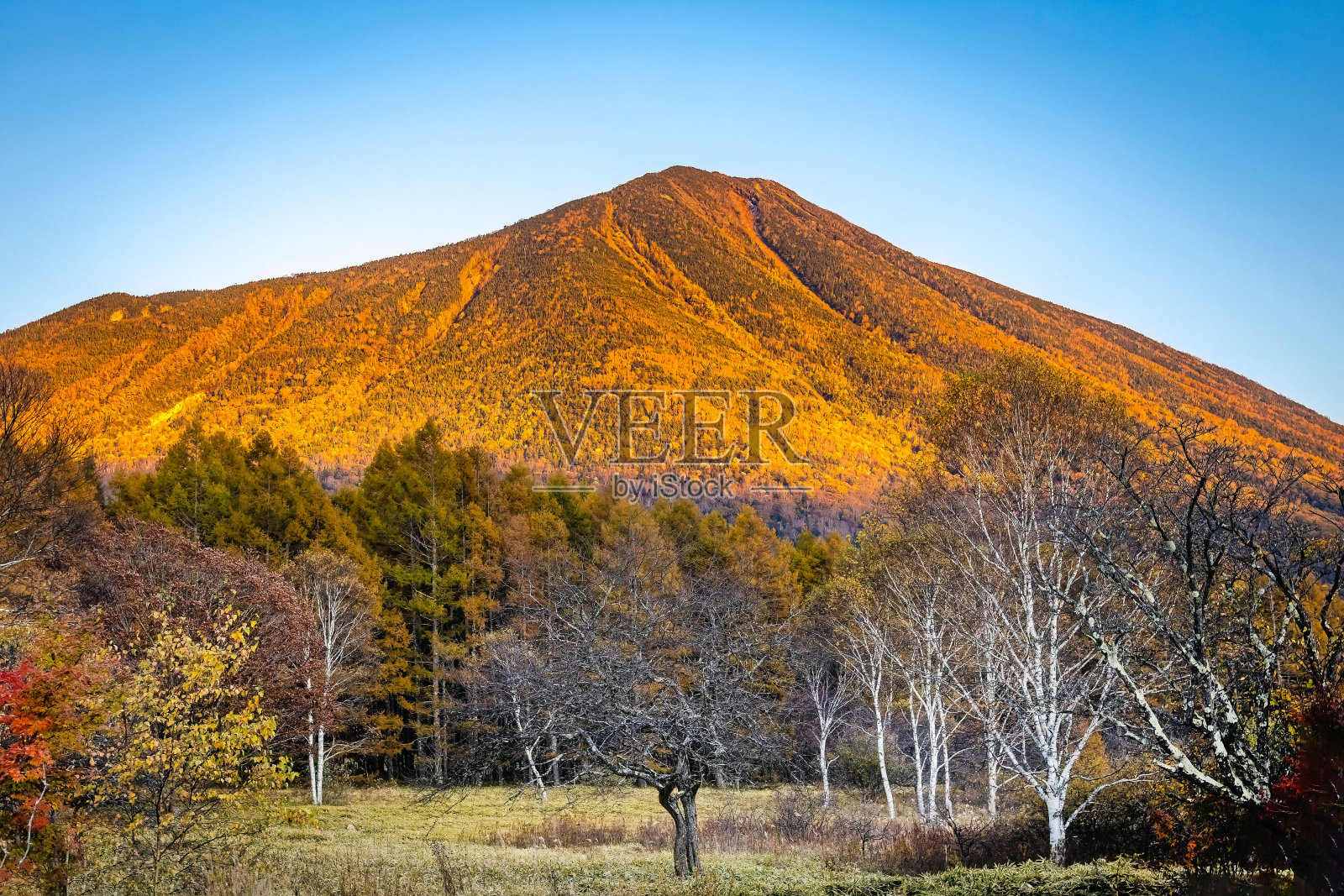 日光国家公园南台山的日落美景照片摄影图片