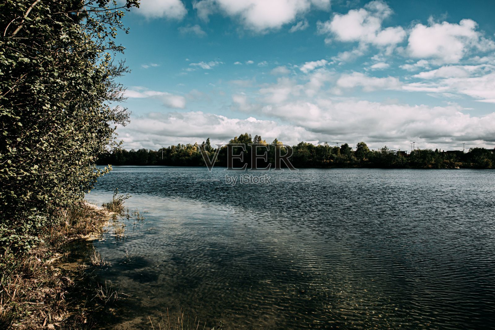 美丽的河流和绿树的倒影照片摄影图片