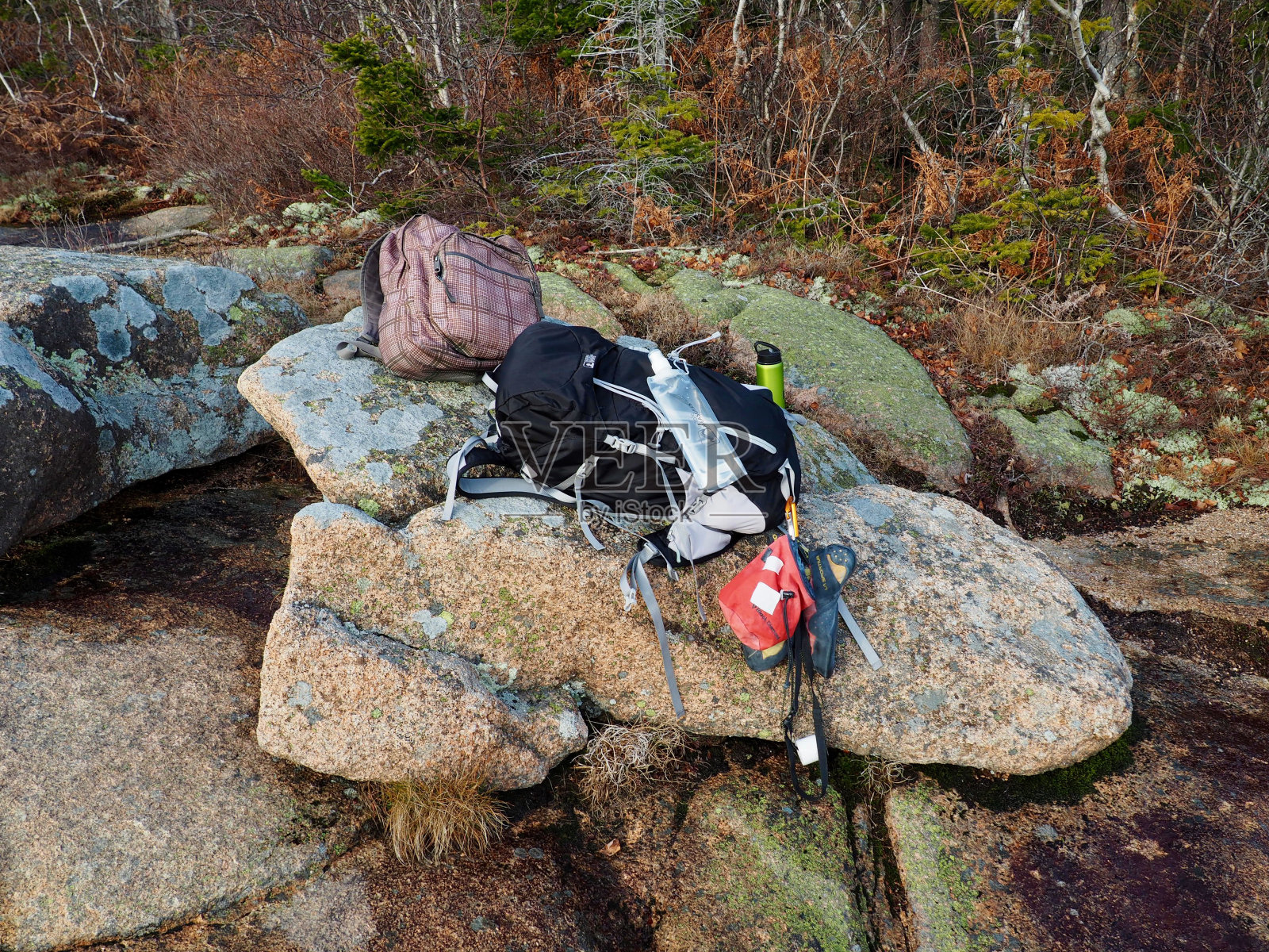 近距离的树石排列在另一个背包落叶树木的背景照片摄影图片